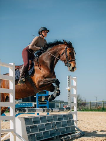 10 Most Popular Types of Horse Sports