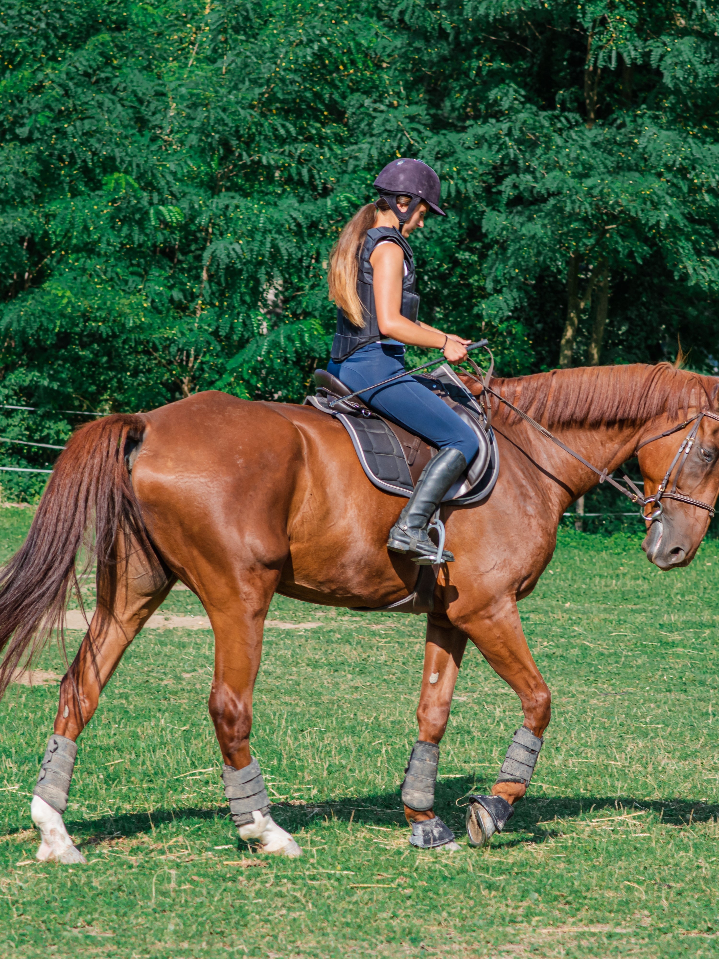 How Do People Steer Horses: Essential Techniques Explained