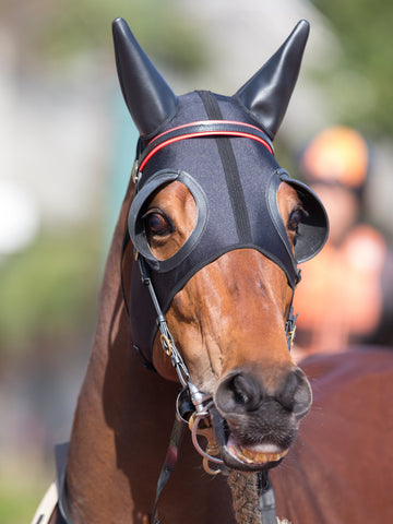 4 Reasons Why Do Horses Wear Blinders