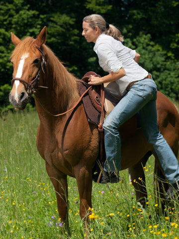 5 Easy Steps to Mount a Horse Safely