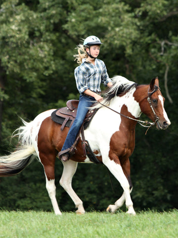 6 Easy Steps to Break a Horse