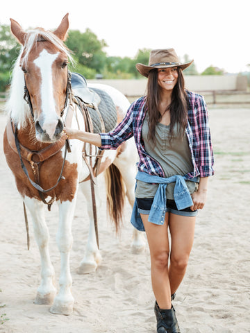 6 Easy Steps to Lead A Horse