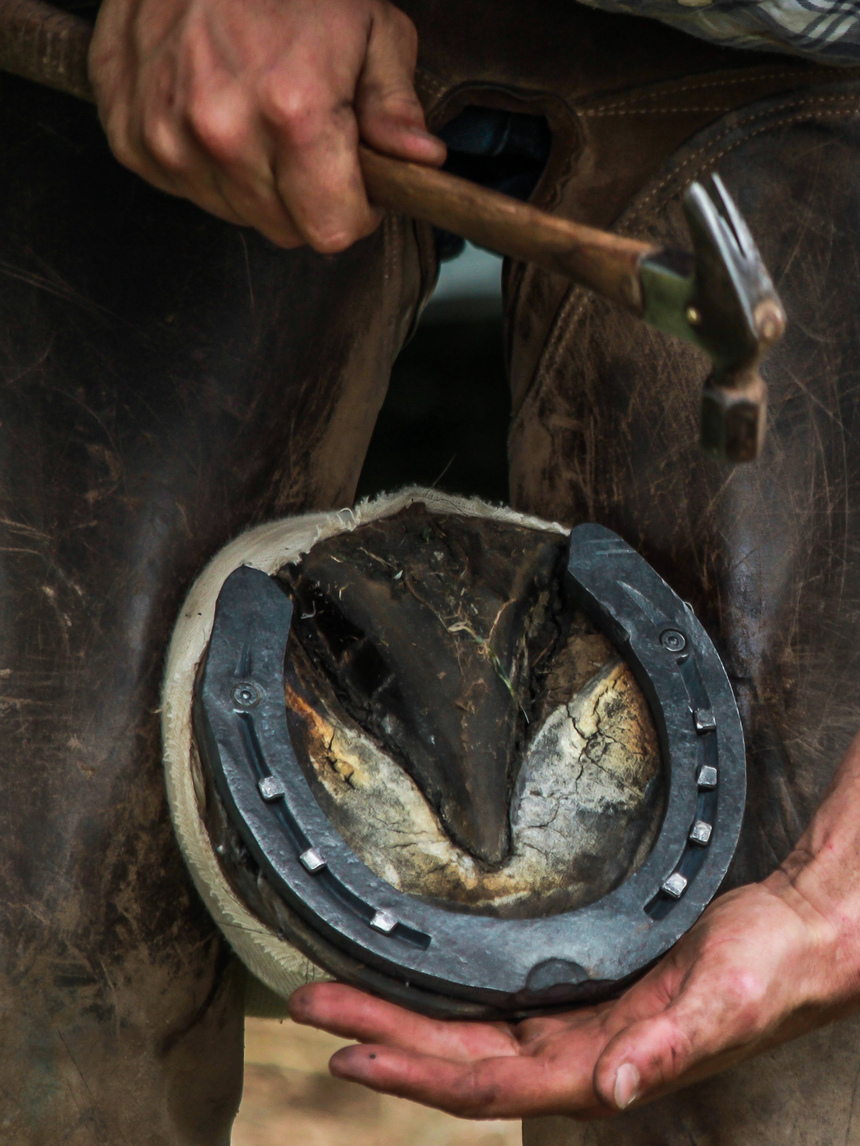 Types Of Horseshoes For Horses Corrective Shoeing For Horses Types Of types-of-horseshoes-for-horses-corrective-shoeing-for-horses-types-of