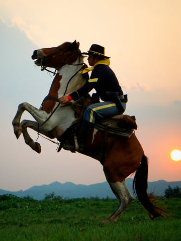 Can You Get a DUI for Being Drunk On a Horse?