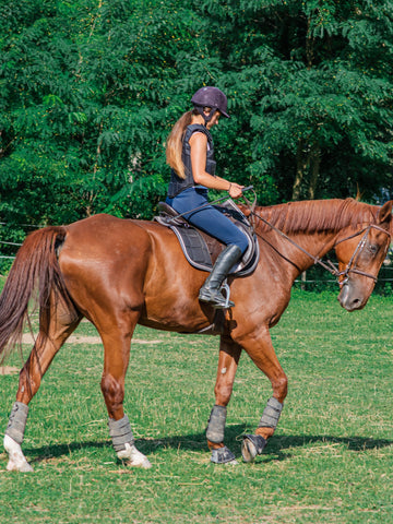 Can You Ride A Horse While Pregnant