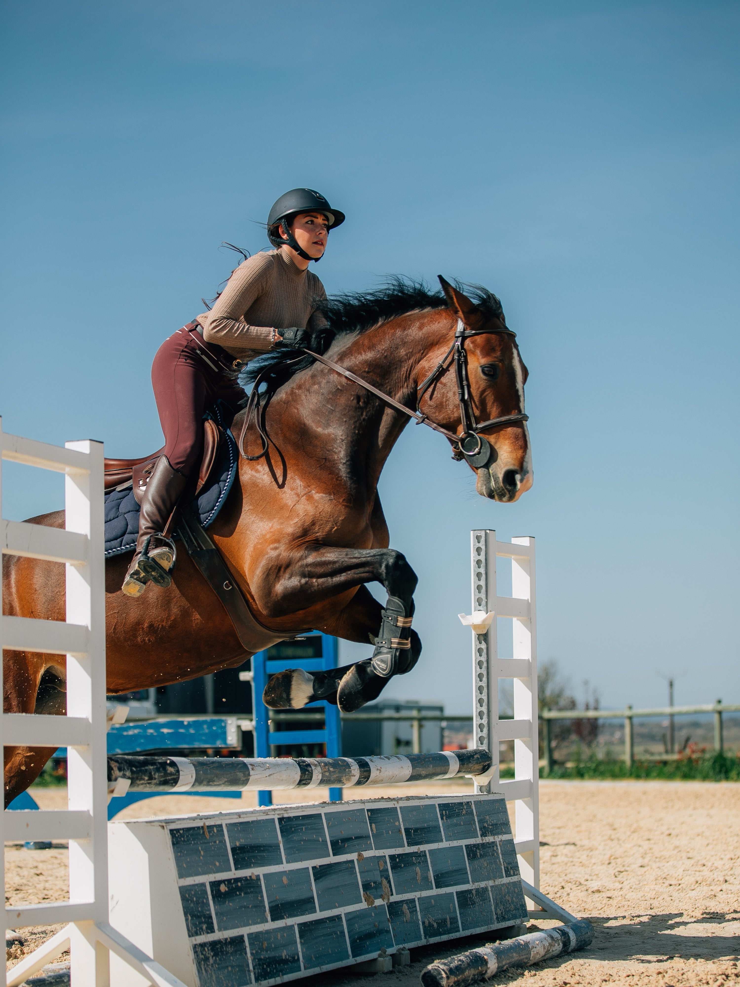 10_Most_Popular_Types_of_Horse_Sports.jpg?v=1740538797