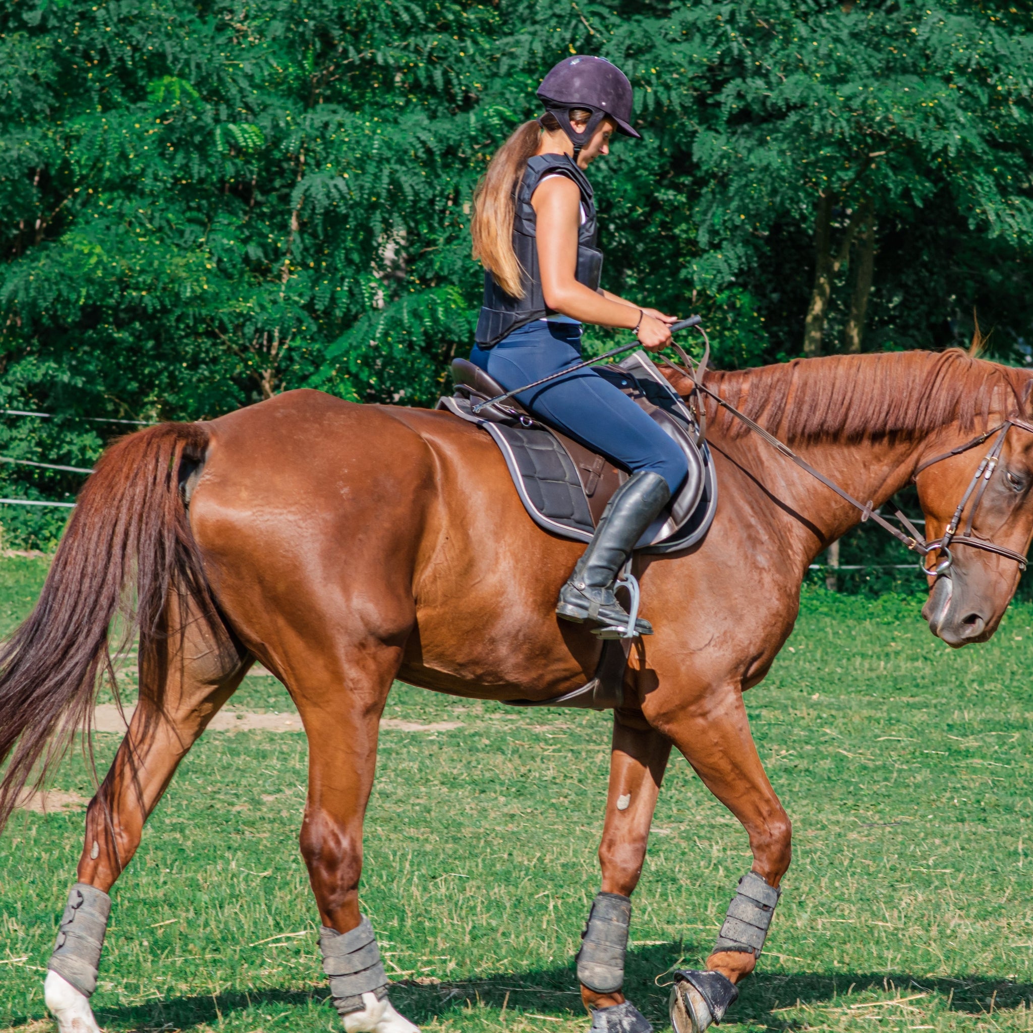 10 Tips To Steer A Horse