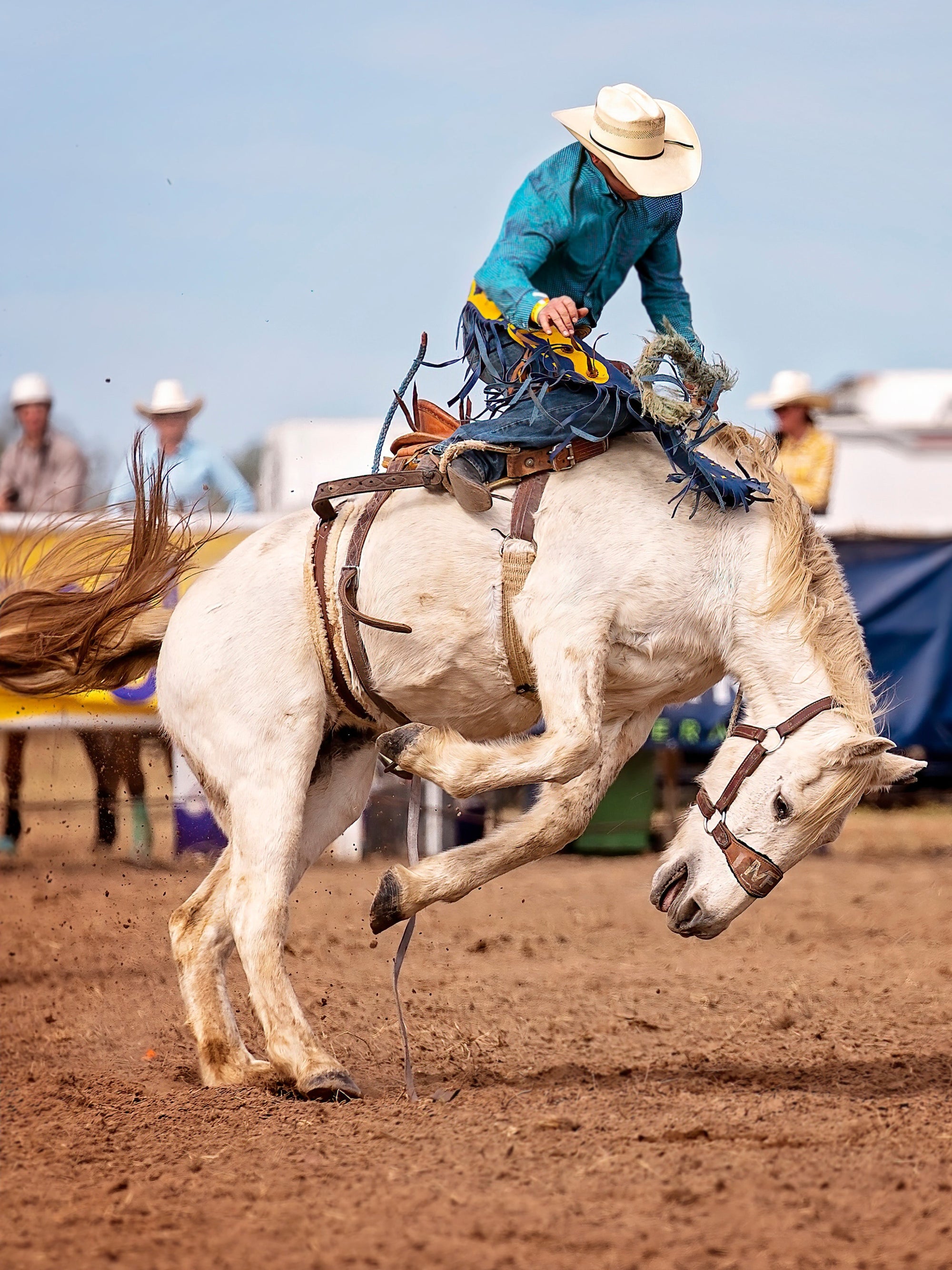 10 Tips to Stop A Horse From Bucking Wild Jolie