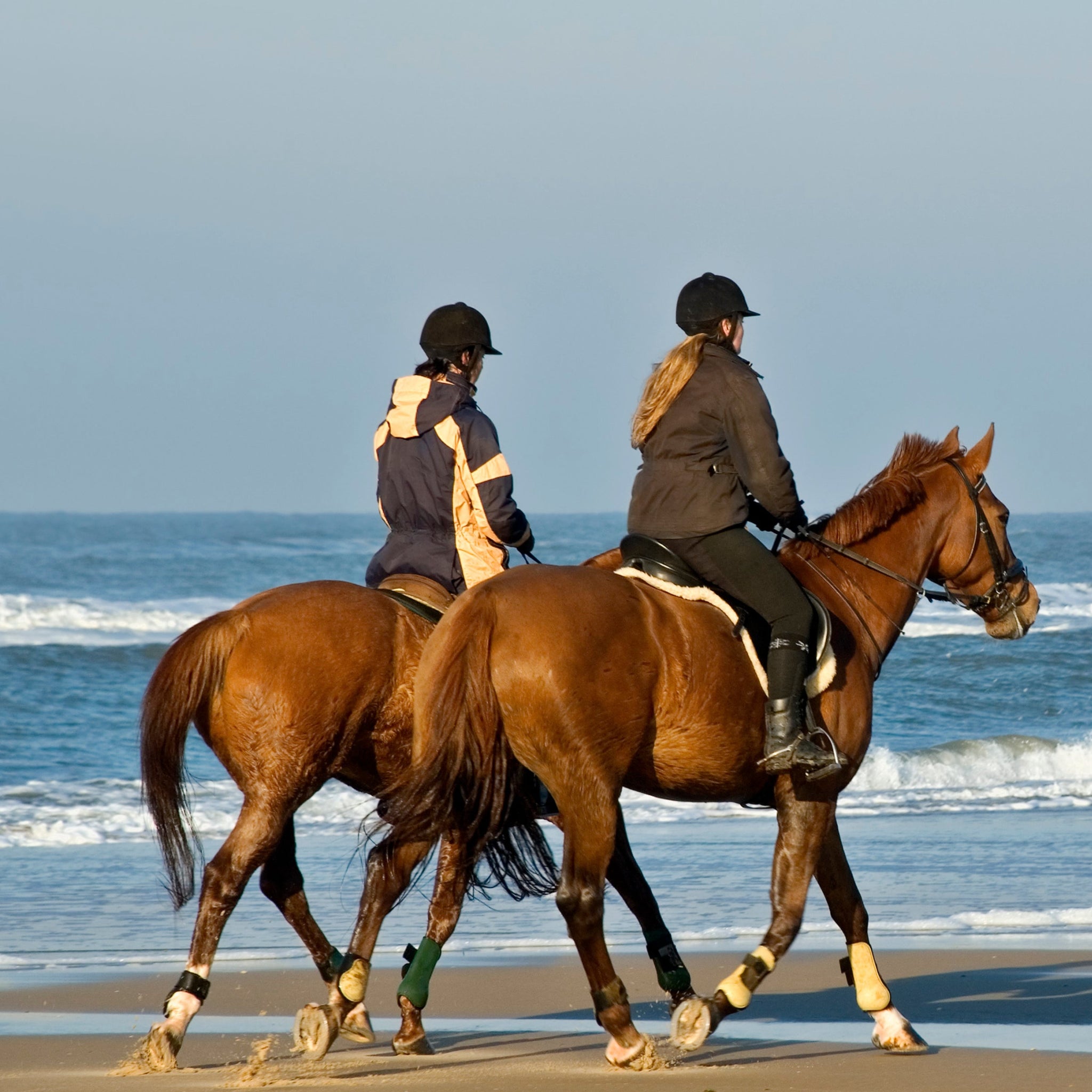 Different Riding Styles 11 Different Styles Of Horse Riding (With Videos) – Wild Jolie