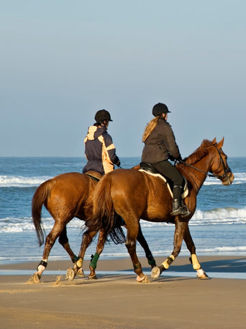 11 Different Styles Of Horse Riding