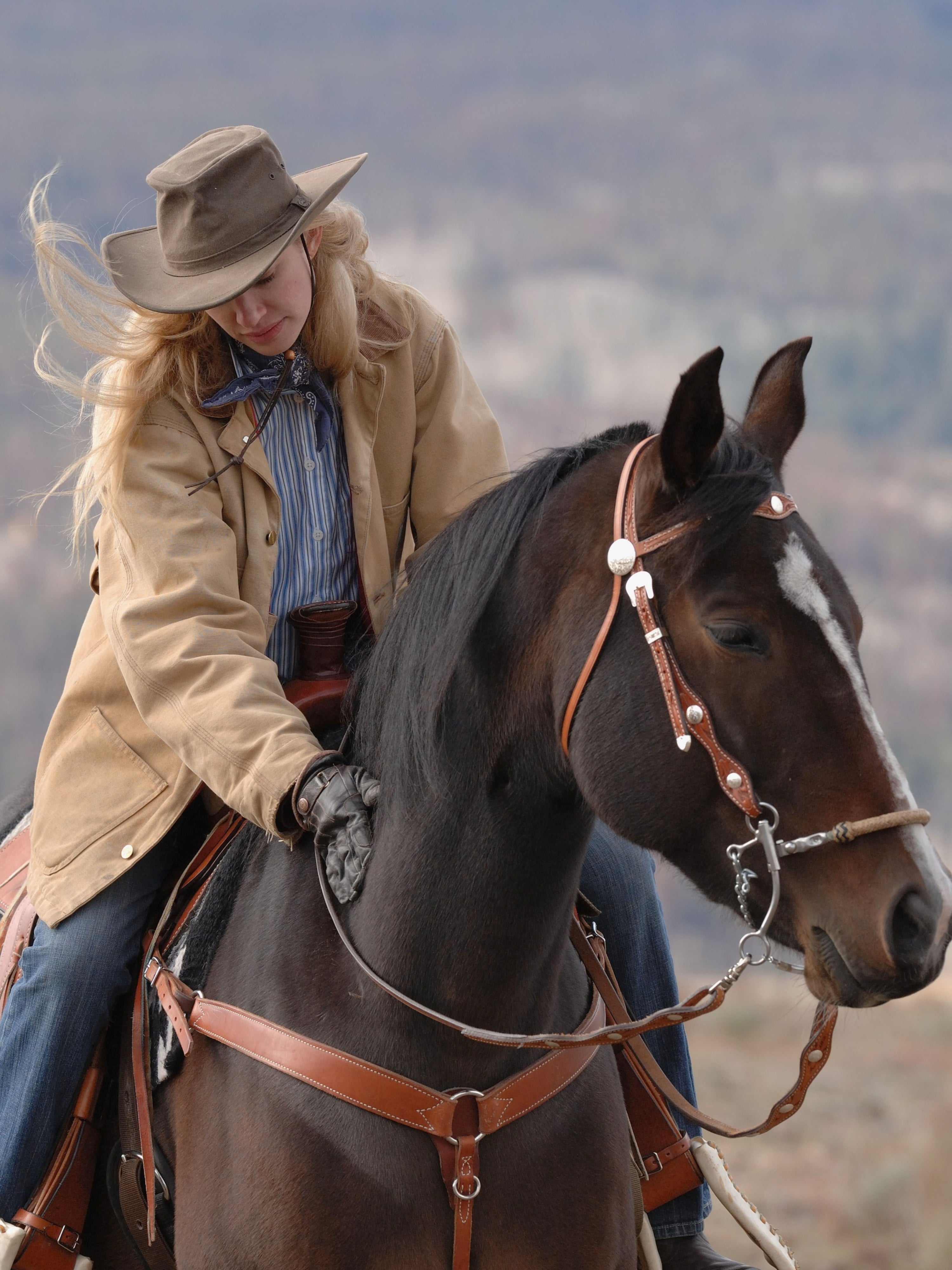 11 Main Types of Western Riding (Video Examples) – Wild Jolie