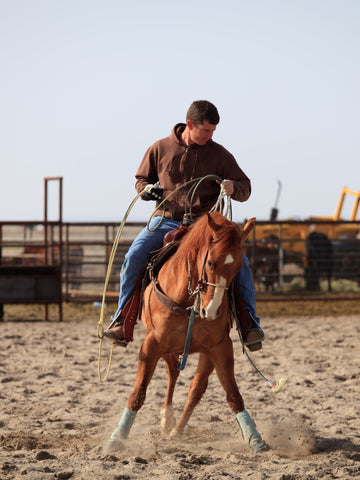 11 Tips to Train a Horse