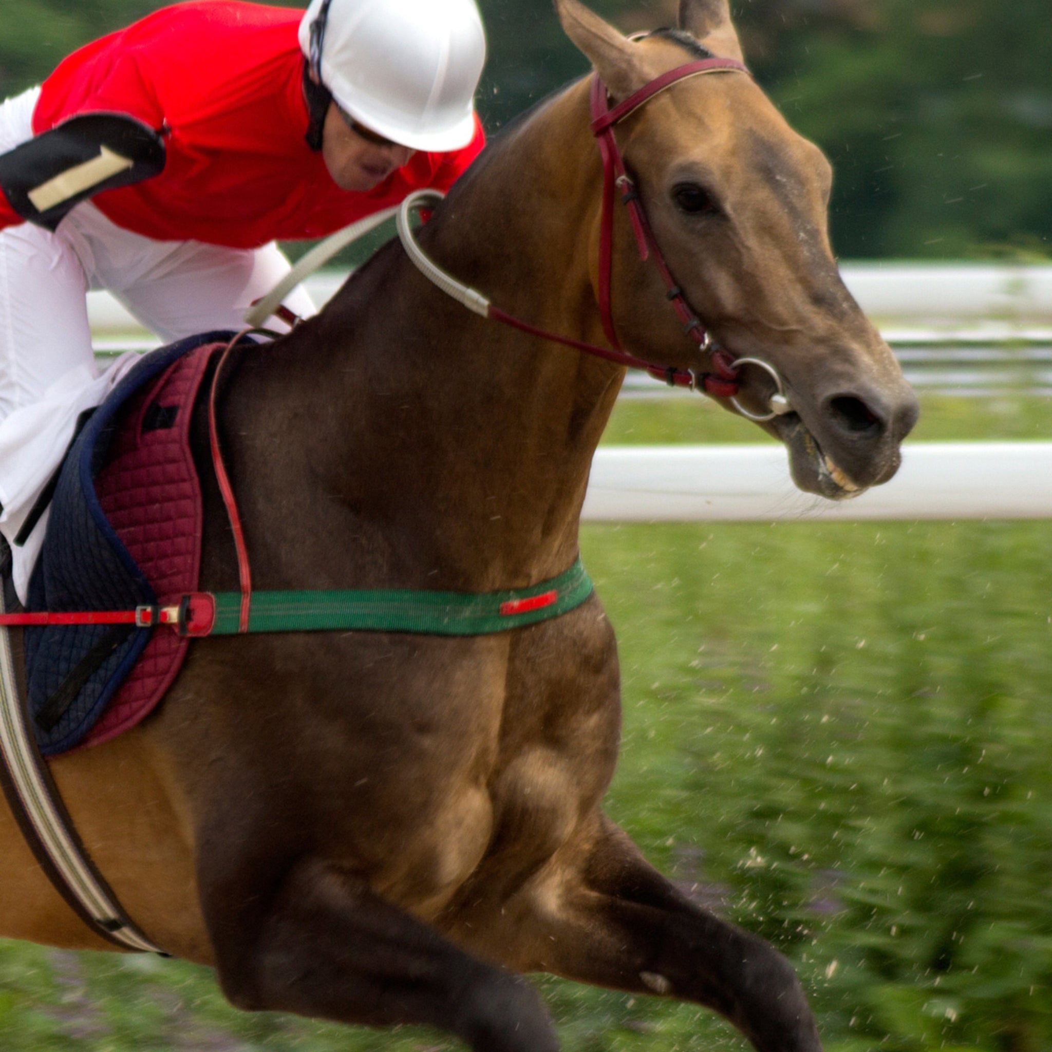 horse racing dress code for ladies What to Wear to Horse Races: Fashion Guide & Outfit Ideas