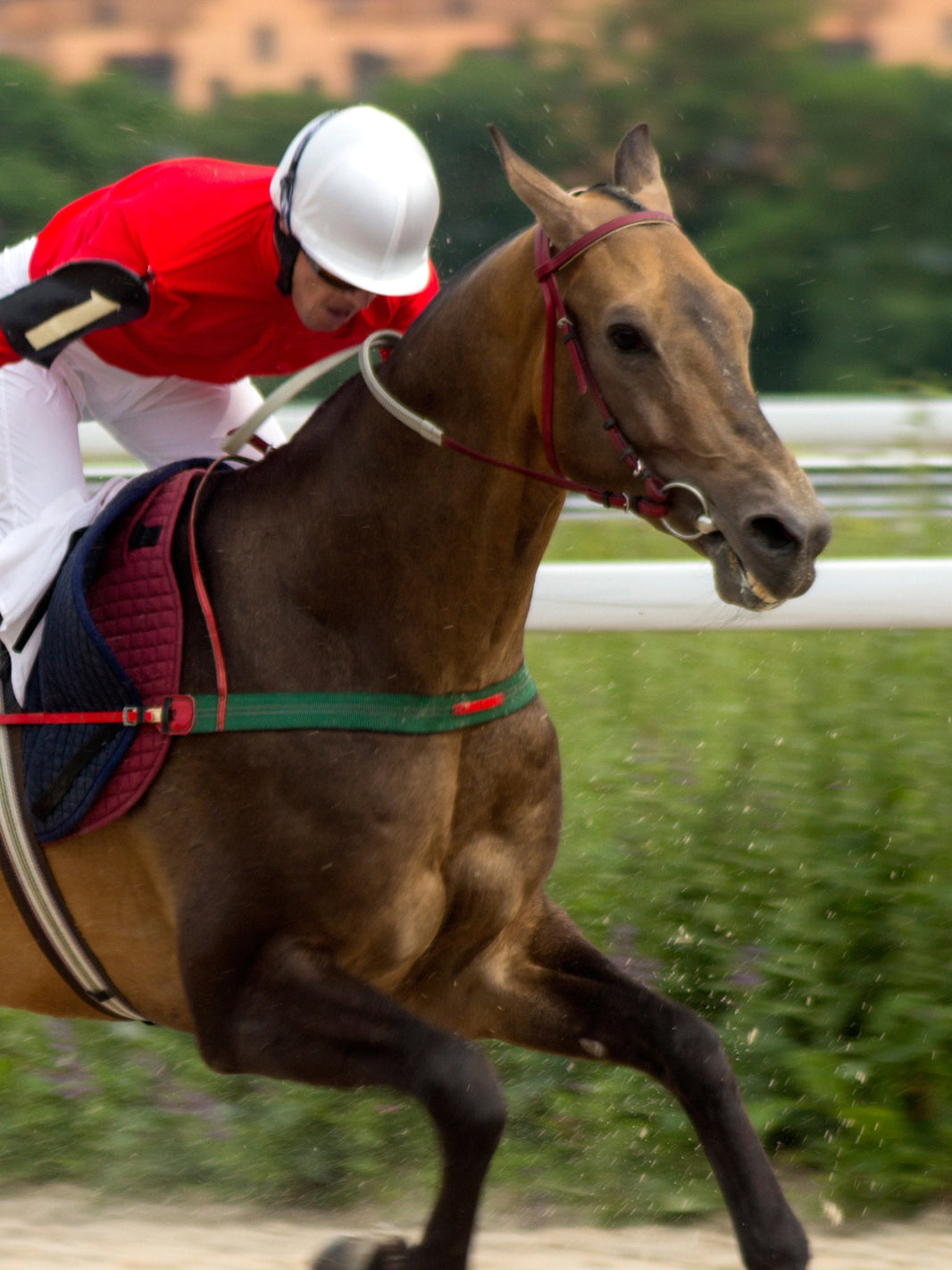 13 Outfits To Wear To A Horse Race (Men & Women) Wild Jolie — free download