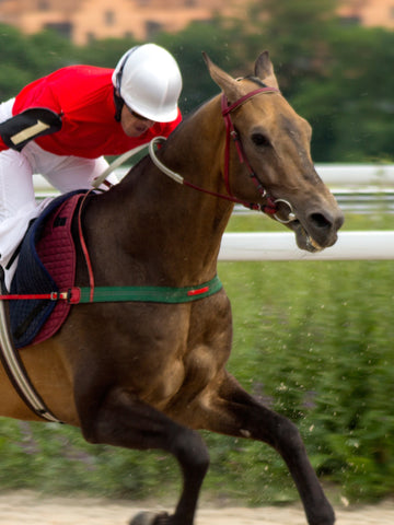 13 Outfits To Wear To A Horse Race (Men & Women)
