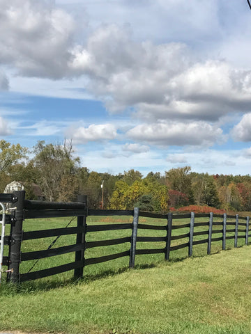 Top 3 Safest Horse Fencing Options